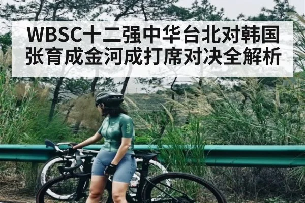 WBSC十二强中华台北对韩国张育成金河成打席对决全解析